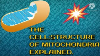 THE CELL : STRUCTURE OF MITOCHONDRIA EXPLAINED.