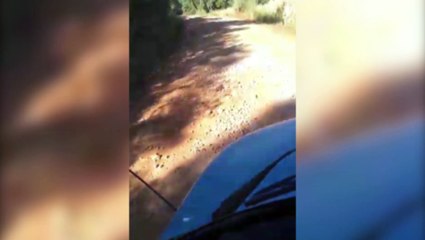 Trabalhador pede por melhorias em estrada rural perto de Rio do Salto, distrito de Cascavel