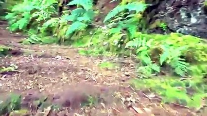 Love Honey's Musical Song - Nice Video and Nice Hindi Musical Song. সুন্দর ভিডিও