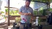 Rogrigo ensina como fazer o enxerto entre Rosas do Deserto