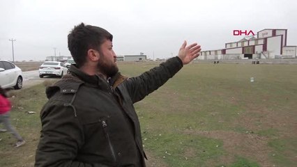 KONYA Arazide otlayan 26 koyun öldü, ölüm nedenlerinin belirlenmesi için çalışma başlatıldı