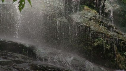 This Georgia Gateway to the Appalachian Trail is the Ultimate Weekend Getaway