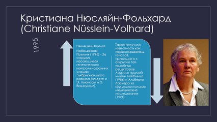 12 великих женщин-учёных, которые получили Нобелевскую премию по медицине и физиологии