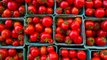 The 8 Best Sustainability-Related Questions To Ask at the Farmers’ Market