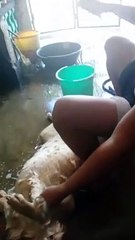 Ganto din ba paliguan ang alaga nyo?