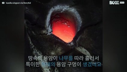 용암이 나무를 타고와서 생긴 특이한 모양의 용암 구멍