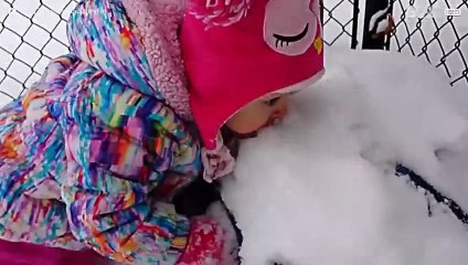 인터넷에 떠도는 최고의 크리스마스 비디오