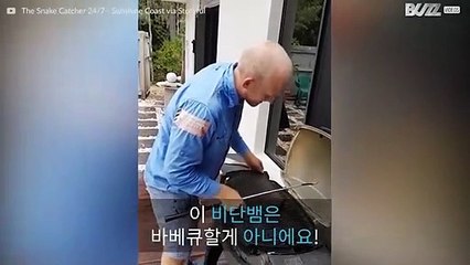 바베큐 그릴에 들어간 거대한 비단뱀