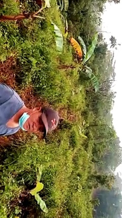 Future Community Forest