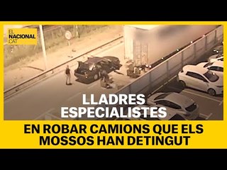 Download Video: Imatges de la banda de lladres especialitzada en robar CAMIONS que els MOSSOS han detingut