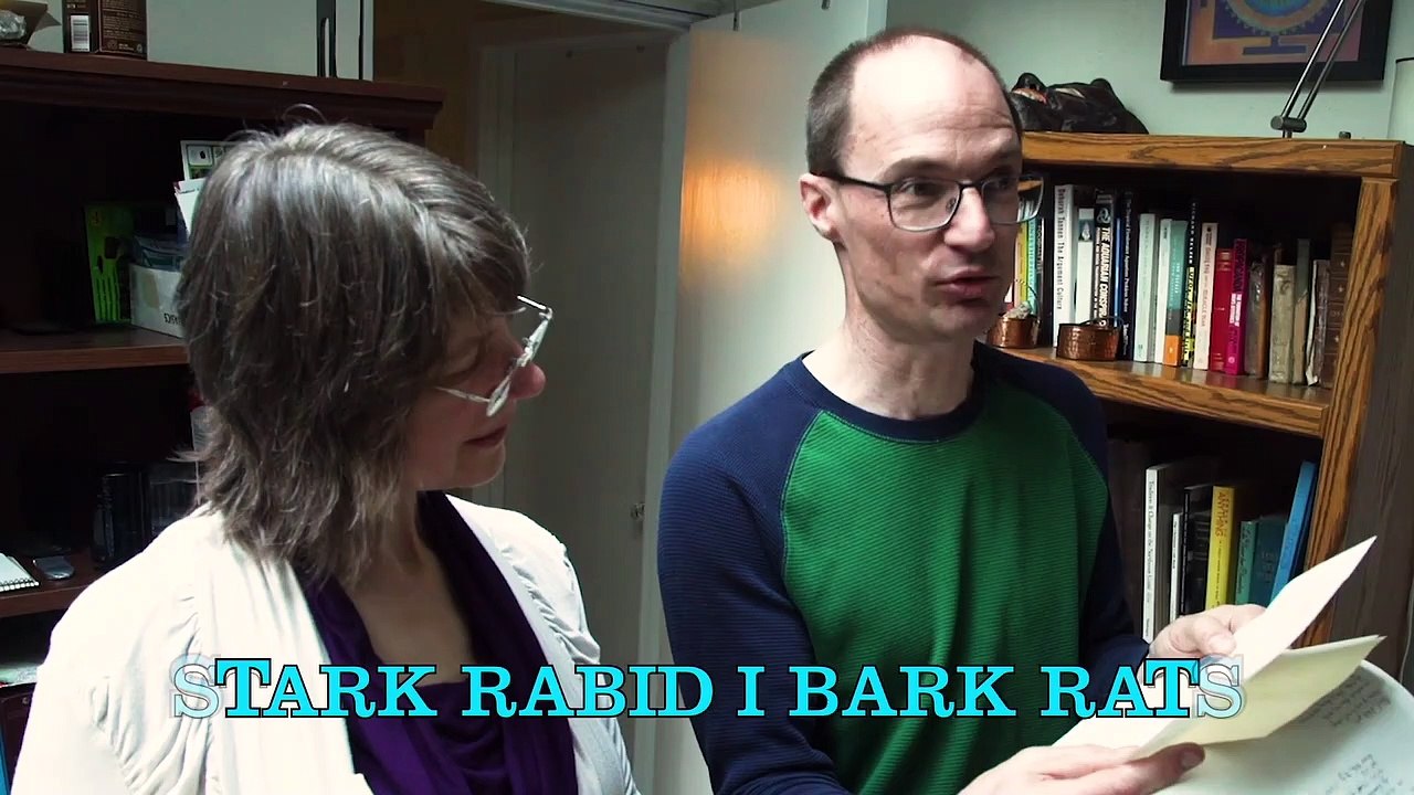 The Palindromists Documentary movie
