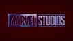 Plan  Marvel Studios' The Falcon and The Winter Soldier  Disney+