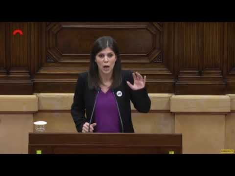 Vilalta: És el moment d'obrir el camí per una resolució democràtica i no repressiva del conflicte