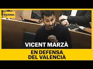 Vicent Marzà, en defensa del valencià contra la valencianofòbia de l'extrema dreta