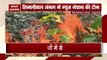 Odisha: Similipal forest fire in Odisha brought under control