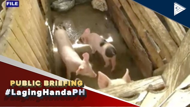 Tugon ng pamahalaan sa estado ng African Swine Fever, presyo ng mga bilihin, at supply ng mga pangunahing pagkain, alamin.