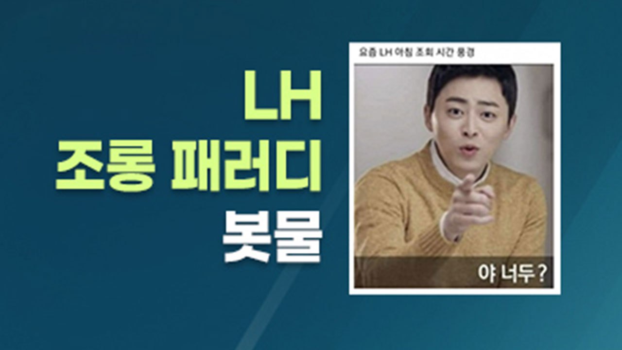 [뉴스큐] 쏟아지는 LH 조롱 패러디, 부글대는 '분노' / YTN