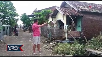 Ribuan Ulat Serbu Permukiman Warga di Demak