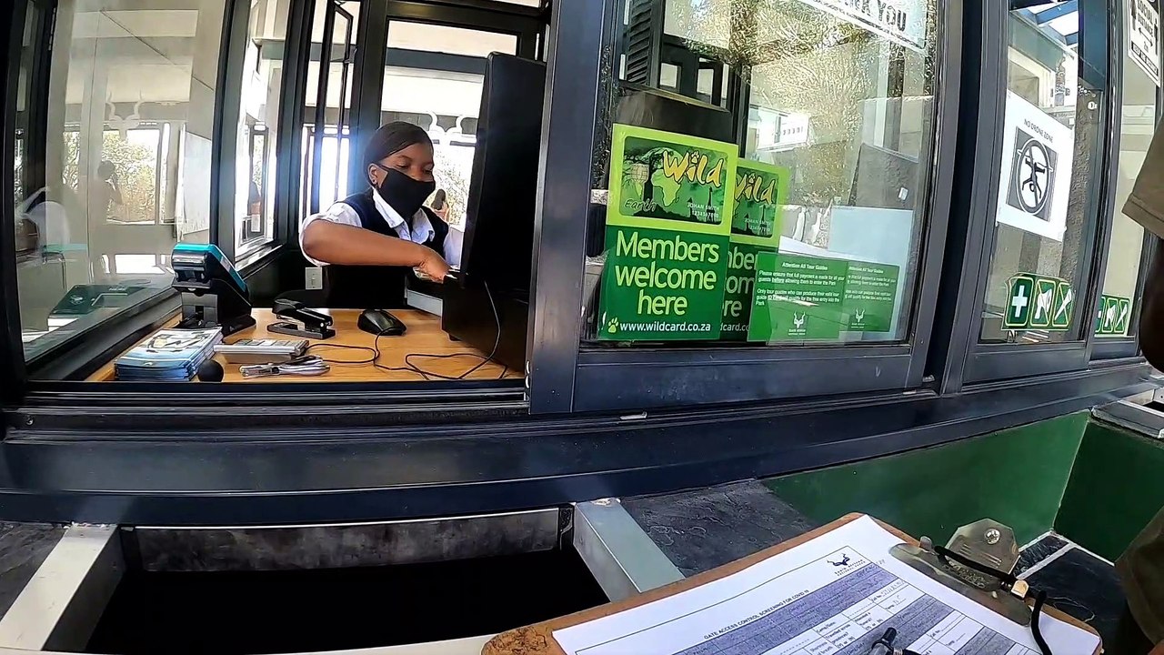 Penguin Colony | Boulders Beach | Cape Town | South Africa Vlog | The Traveller | Travel Vlog