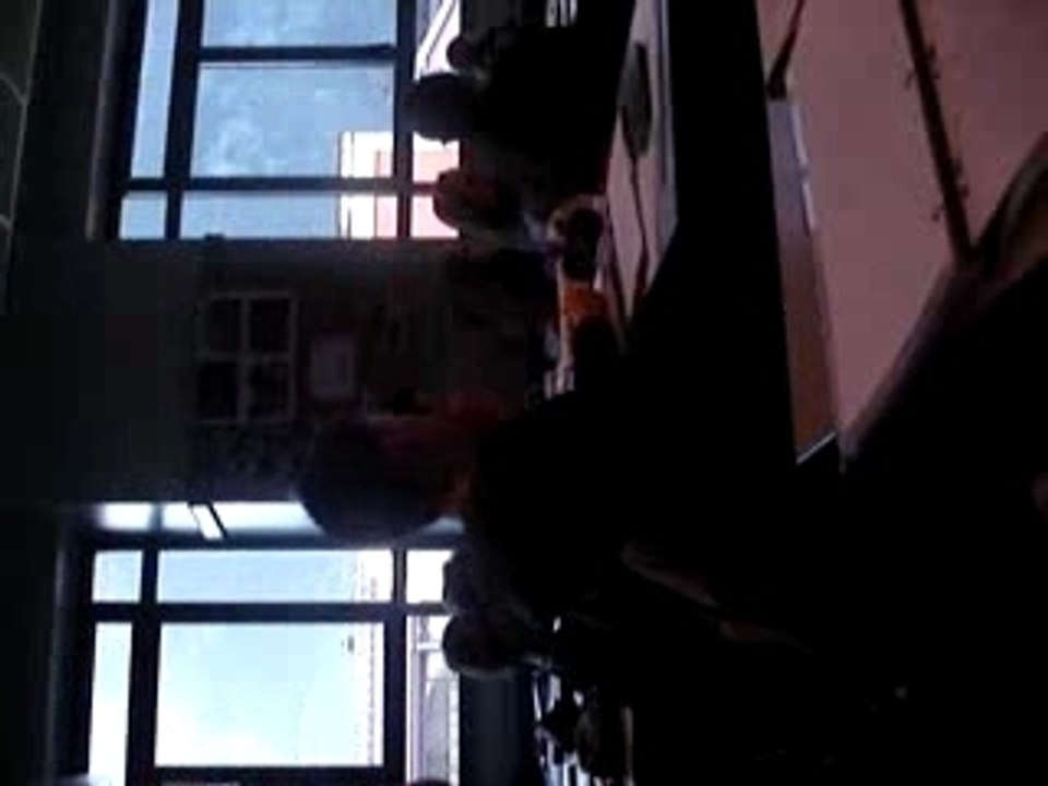 Les cours dhistoires