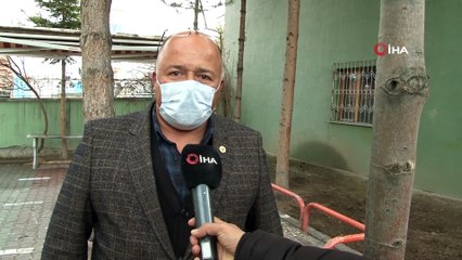 Yaptığıyla hayrete düşürmüştü, genç kadının kırdığı ağacın yerine belediye ıhlamur ağacı dikti