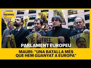 PARLAMENT EUROPEU | Puigdemont, Comín i membres del govern es fan la foto davant l'Eurocambra