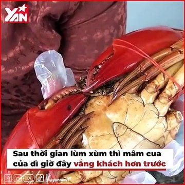 Nổi tiếng một thời, bánh tráng trộn Diva, mâm cua dì Ba giờ ngập thị phi