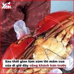 Nổi tiếng một thời, bánh tráng trộn Diva, mâm cua dì Ba giờ ngập thị phi