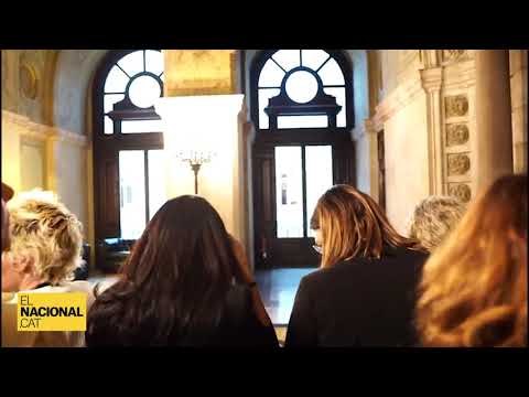 IuTuber, al Parlament explicant l'entrada a la sala dels presos de la Comissió d'investigació del 15