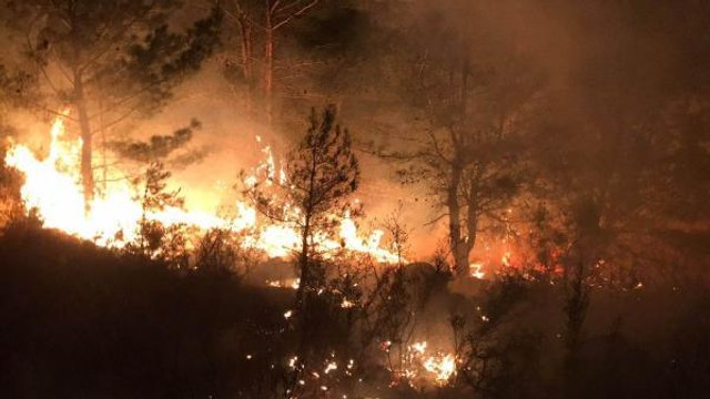 Manavgat'taki yangında 1 hektarlık bozuk kızılçam ormanı zarar gördü
