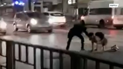 Strong winds sweep people off their feet in Novorossiysk