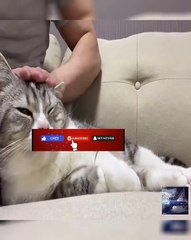 陣内智則【コント 運転シミュレーター】