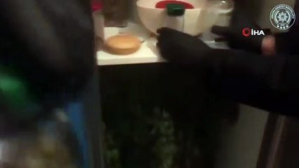 - Başkent’te bir haftada uyuşturucu suçundan 36 kişi tutuklandı