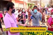 SJL: vecinos presentan acción de amparo para detener deforestación de bosque