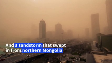 Beijing smothered by hazardous yellow smog