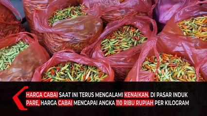 Download Video: Harga Cabai Terus Meningkat Pemkab Kediri Gelar Operasi Pasar