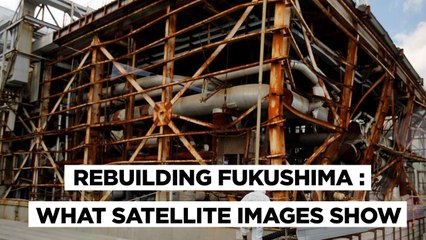 10 Years After Fukushima, Has Japan Moved Past the ‘Man-made’ Nuclear Disaster