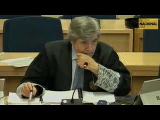 L'agent K47019k asegura que els mossos no van fer res i tenien suficient potencial