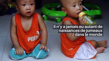 Il n’y a jamais eu autant de naissances de jumeaux dans le monde_IN