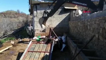 ADANA Yangında evleri yanan çiftin fırtınada inekleri telef oldu