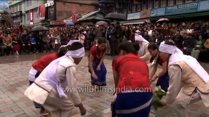 Nepali folk dance Sakela from Khumbu or Rai tribe