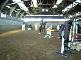 Saut en manège 2