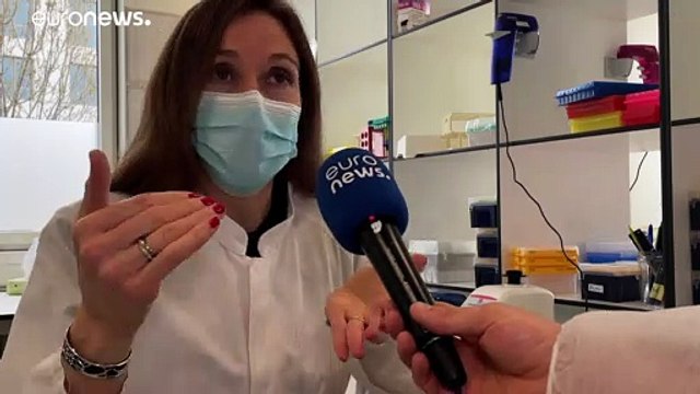 Коронавирус: поиски универсальной вакцины