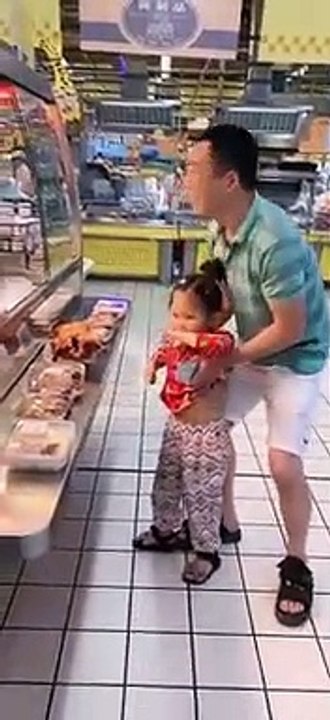 funny videos