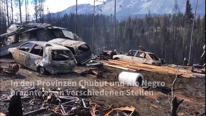 Verheerende Waldbrände in Patagonien