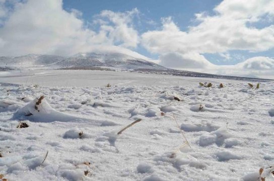 Aksaray'ın Ortaköy ilçesi, kar yağışıyla bembeyaz