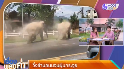 เรื่องพลบค่ำ ช่วงที่ 2 วันศุกร์ที่ 12 มีนาคม 2564