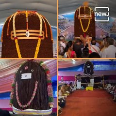 Shiv Ling Made With The Help Of 9 Lakh, Sometimes 5 Lakh Rudraksh. Here Is What The Significance Is