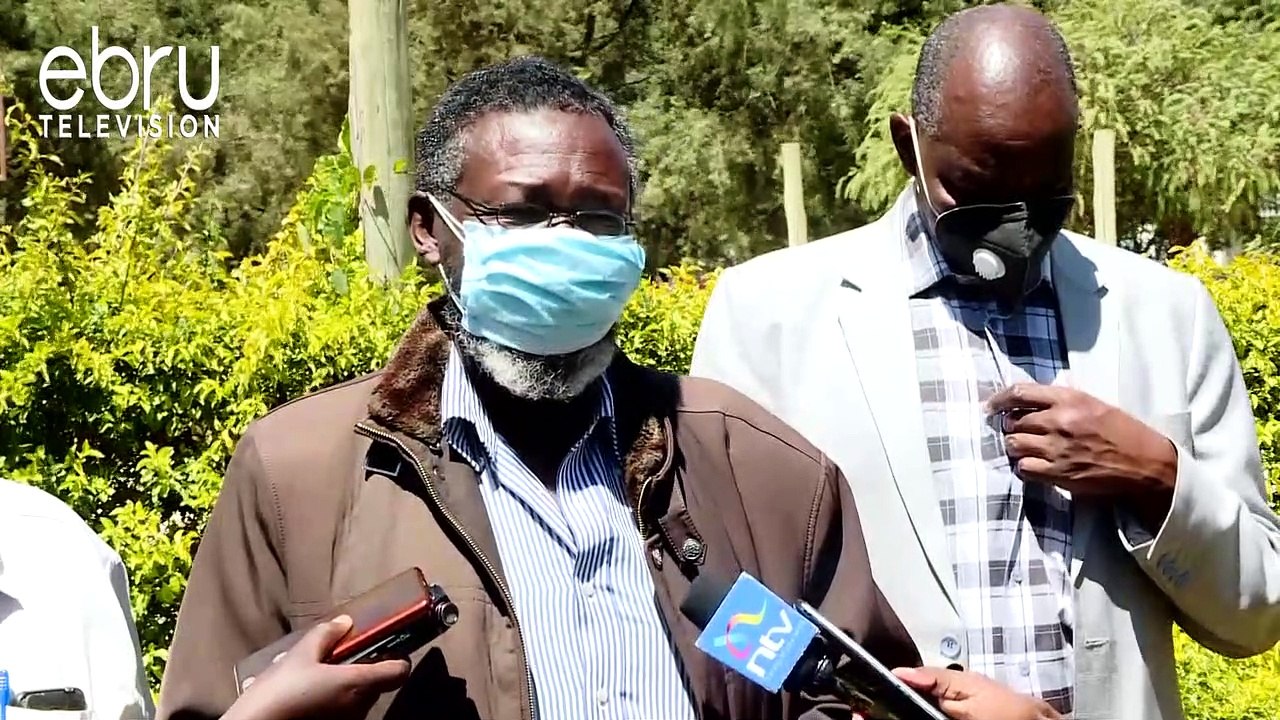 Kenya Backtracks On Maize Import Ban As Traders...