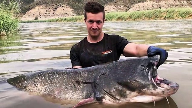 Maxis Mittwochsrunde mit Kevin Nowatzki Teil II